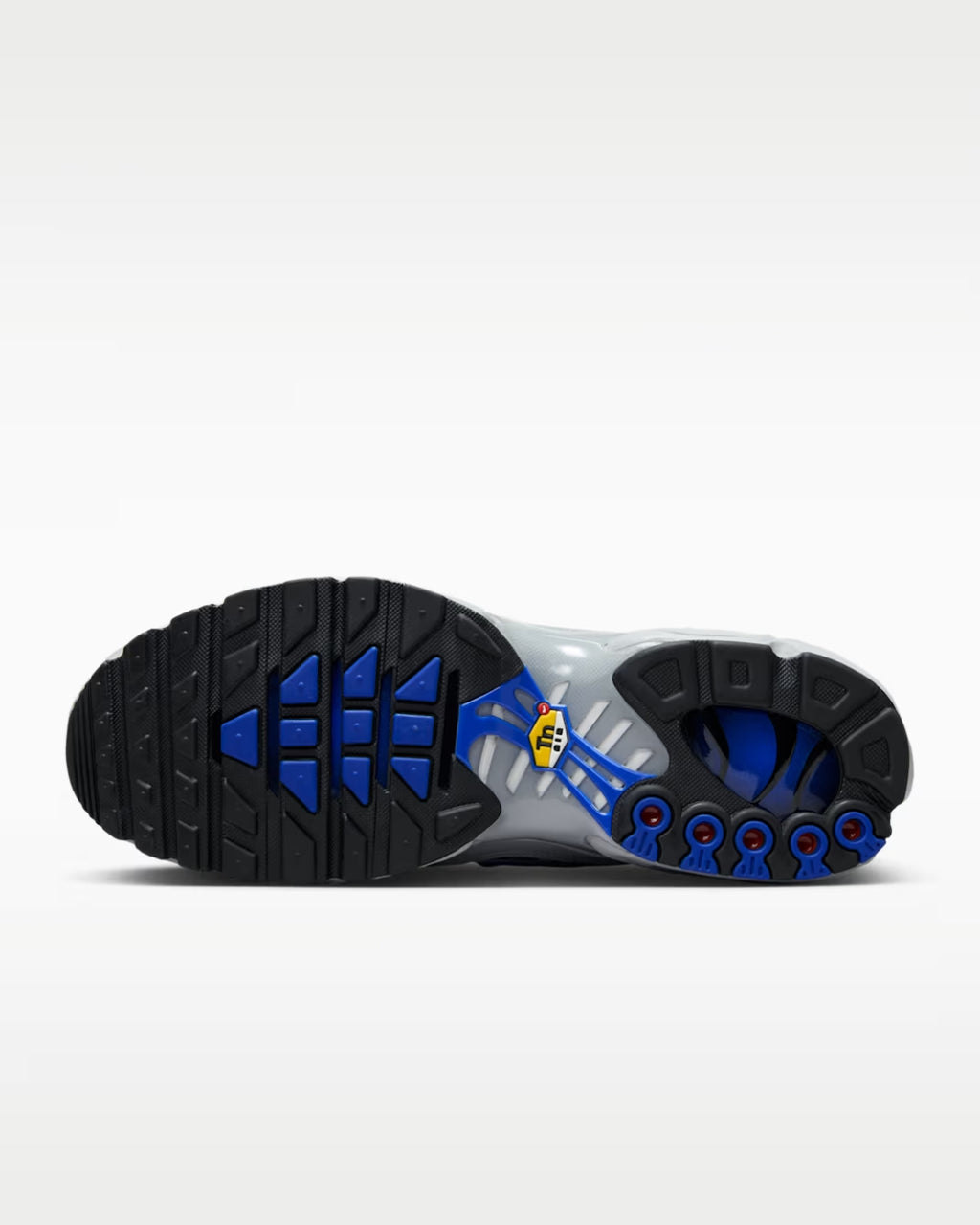 NIKE Air Max Plus Tuned Air